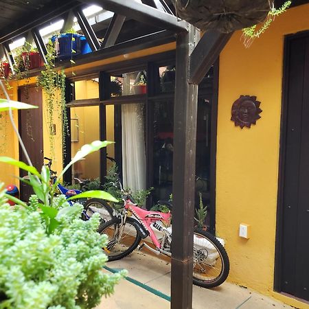 Parrot House Bed & Breakfast Antigua Exterior photo