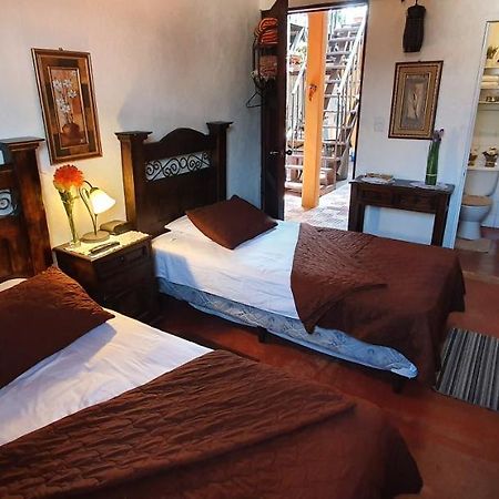 Parrot House Bed & Breakfast Antigua Exterior photo
