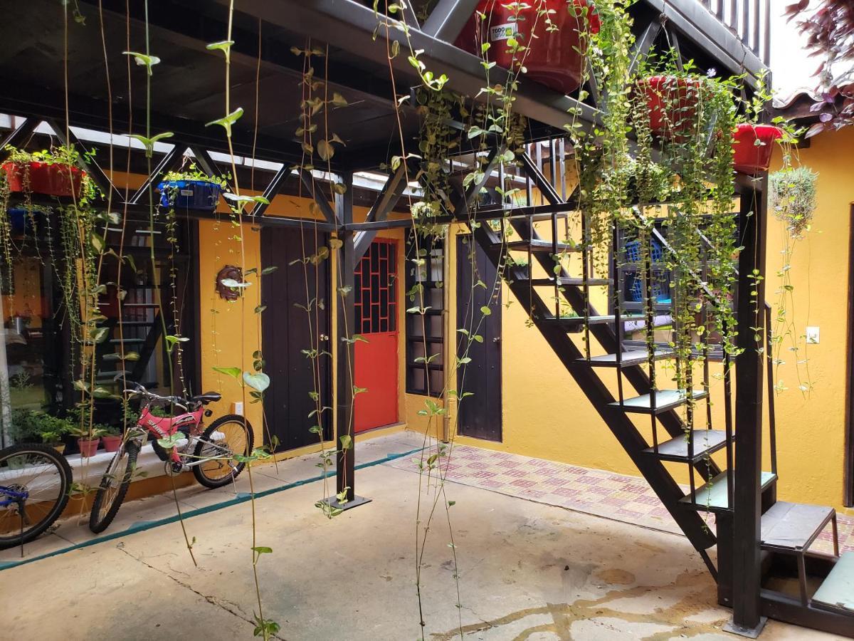 Parrot House Bed & Breakfast Antigua Exterior photo